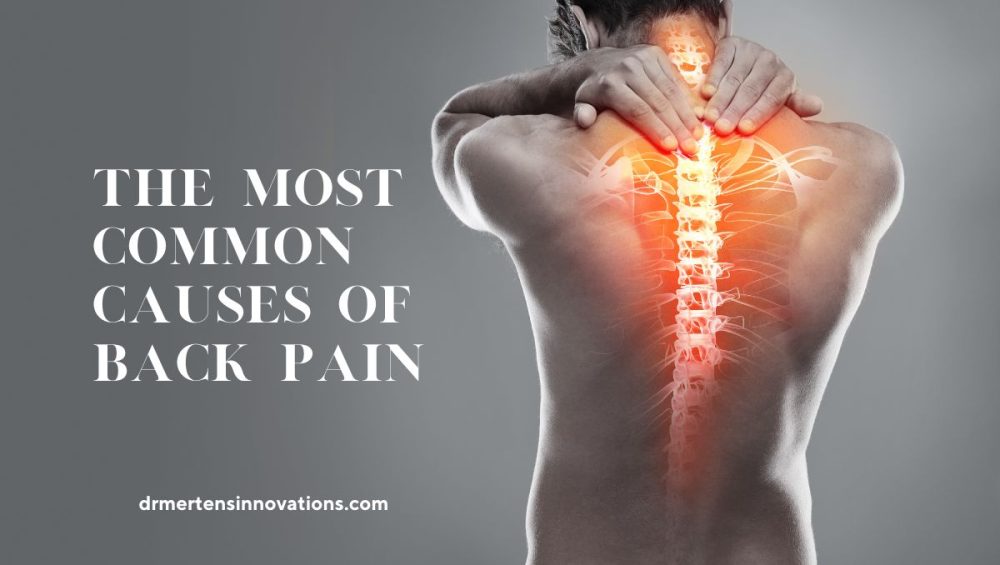 causes of back pain 1