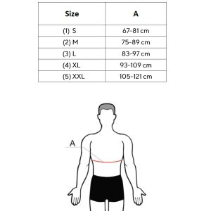 Thoracal Size Chart