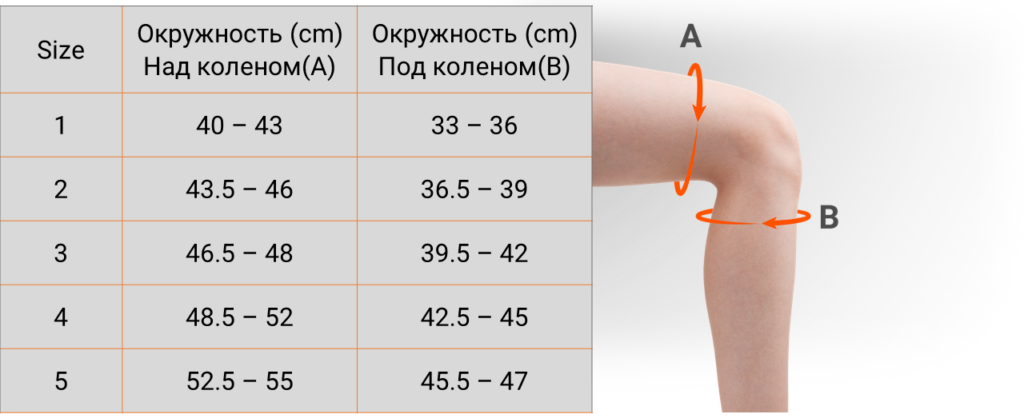 Izmeru tabula pilna cela ortoze ru e1734717412567